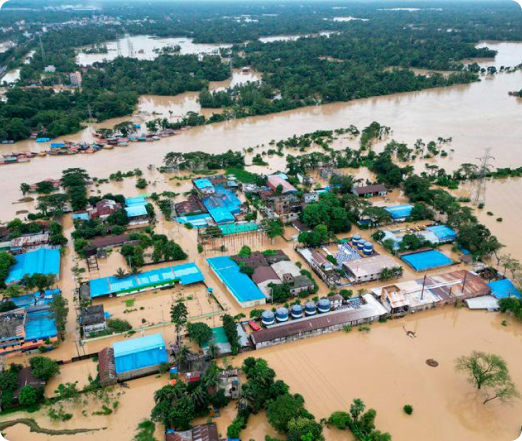 Image of donation/rescue