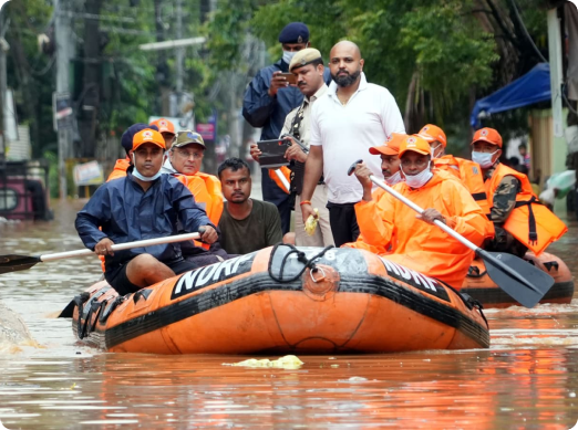 Image of donation/rescue
